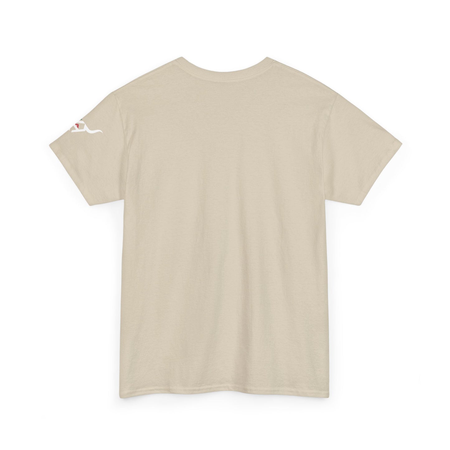 KpasaGuey Mexicans going anywhere, Unisex Heavy Cotton Tee, Here to stay, Wear your voice, Print front Sleeve