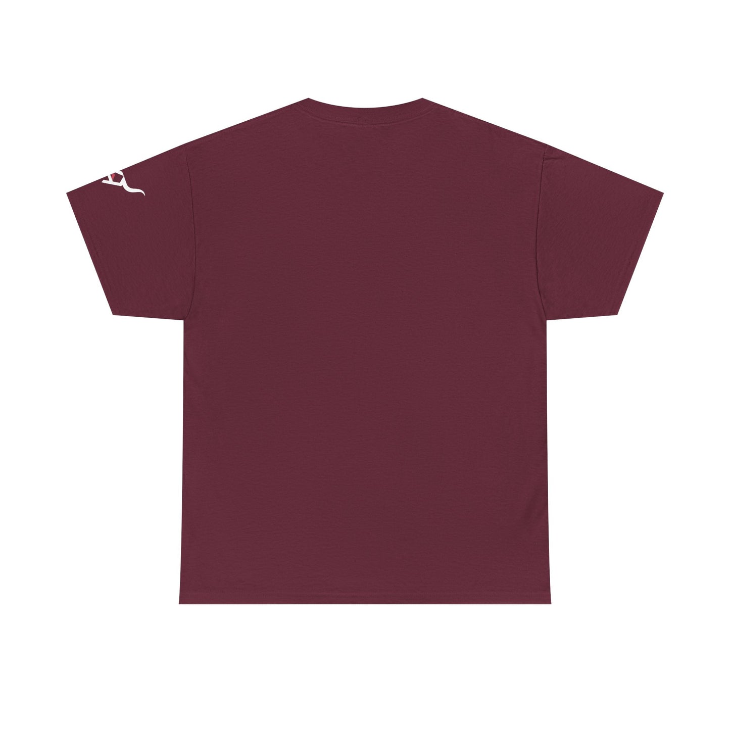 KpasaGuey Mexicans going anywhere, Unisex Heavy Cotton Tee, Here to stay, Wear your voice, Print front sleeve