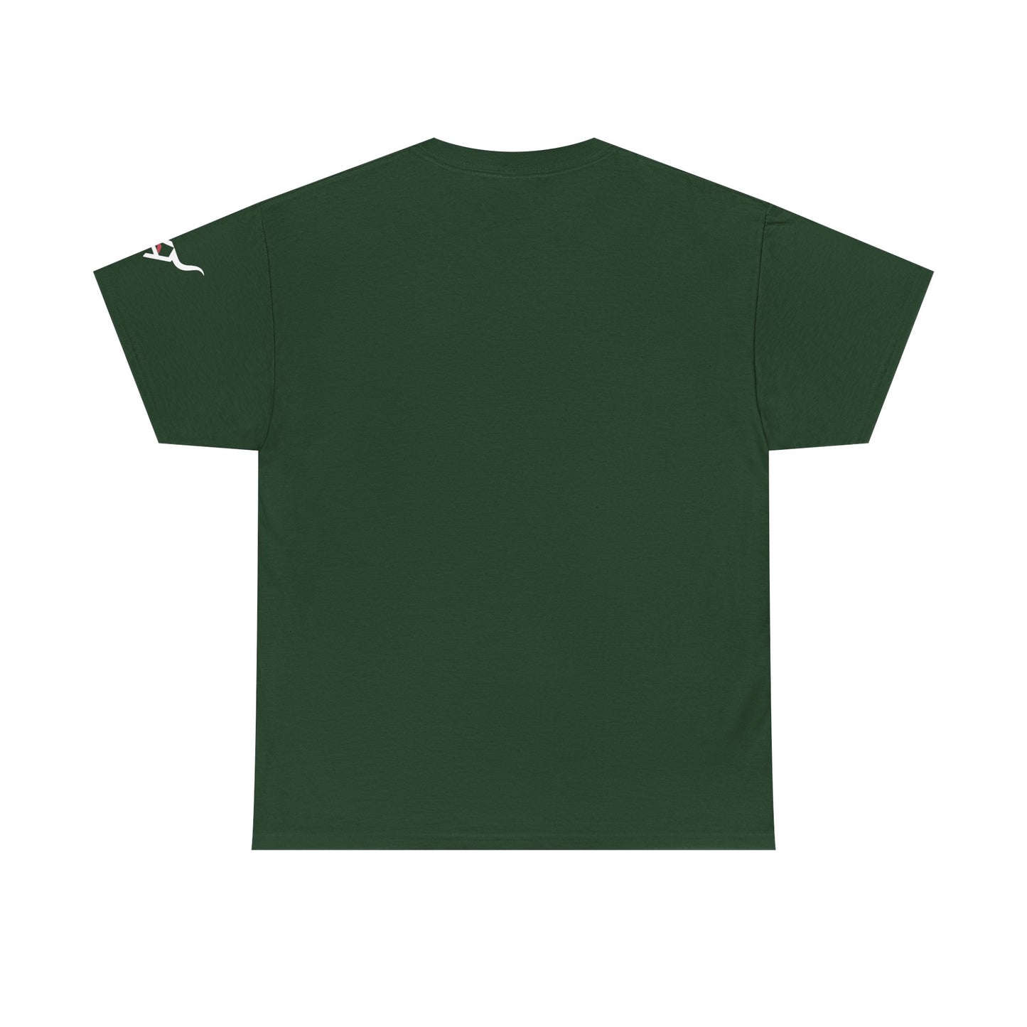 KpasaGuey Mexicans going anywhere, Unisex Heavy Cotton Tee, Here to stay, Wear your voice, Print front sleeve