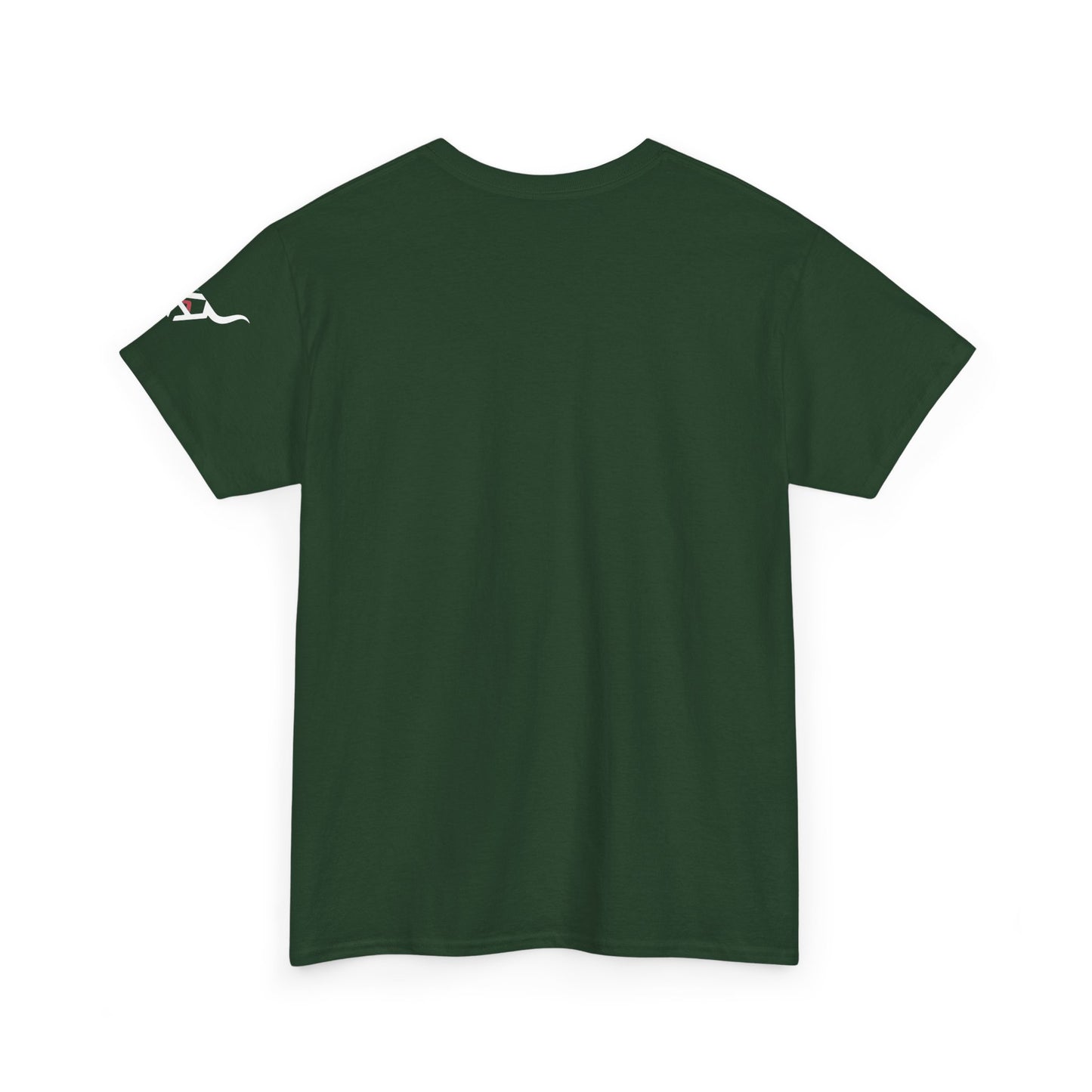 KpasaGuey Mexicans going anywhere, Unisex Heavy Cotton Tee, Here to stay, Wear your voice, Print front Sleeve