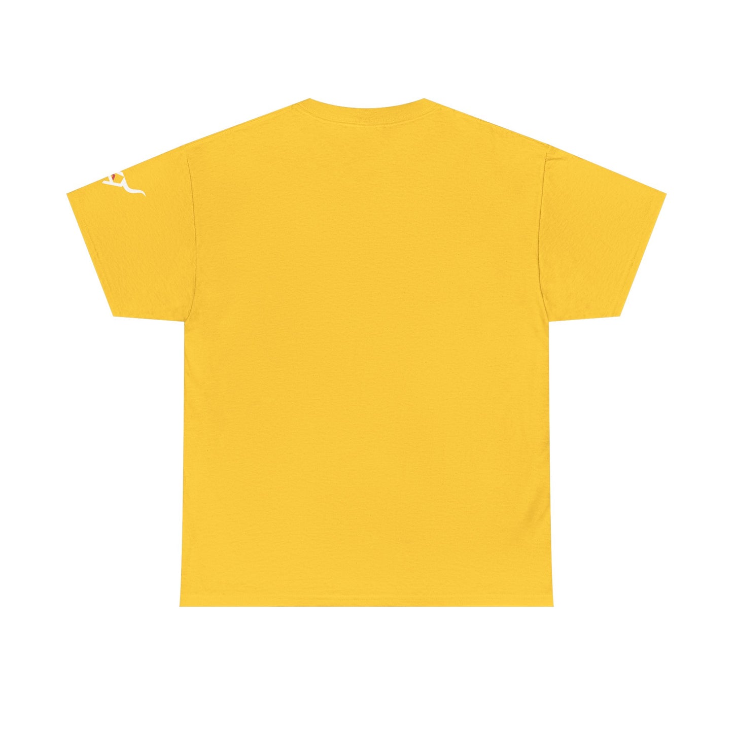 KpasaGuey Mexicans going anywhere, Unisex Heavy Cotton Tee, Here to stay, Wear your voice, Print front Sleeve